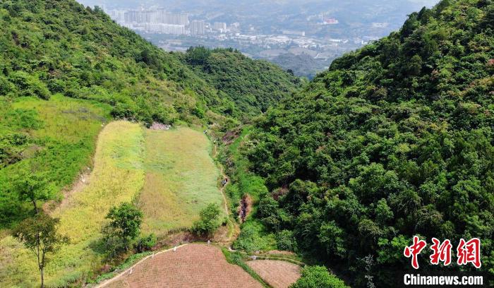 甘肃徽县山地挑战赛激活唐诗古道千名跑友领略